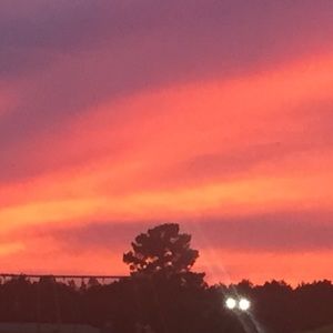 Meet your Posher, Ericka